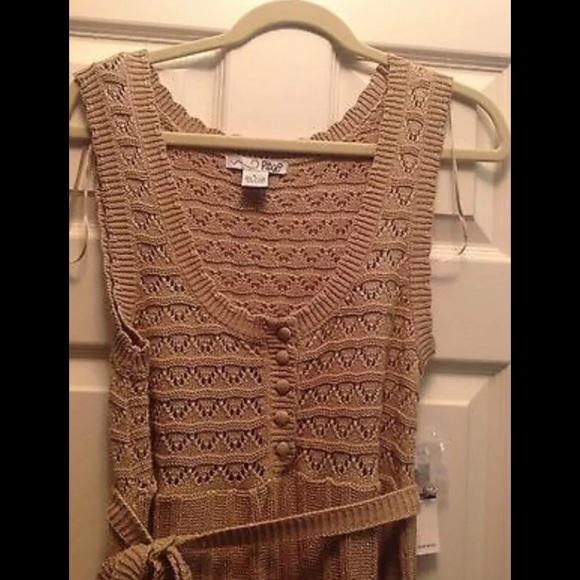 Gorgeous NWT Crochet Tan/Gold Metallic Belted Dress Sz L - Picture 4 of 4